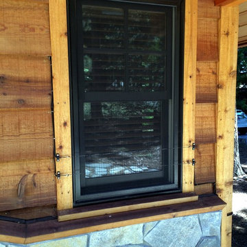 Window Protection