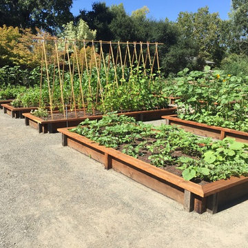 Edible Vegetable Gardens