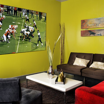 Mirror TV Room