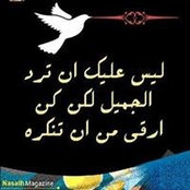 Khaled IB's photo