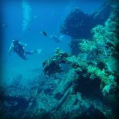 James Witbeck's photo
