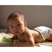 Thai Lam's photo