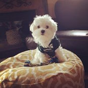 Brooke Coffman's photo