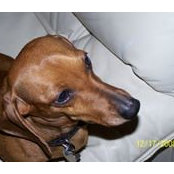 Nancy Spellman's photo