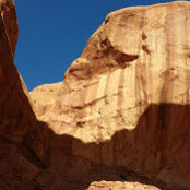 Shaun Trivedi's photo