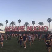 Jon Longoria's photo
