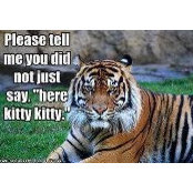 Kent Laura McInnes's photo