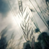 Fanceen's photo