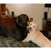 Holly Brummitt's photo