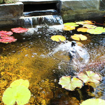 Pond at Entry Way