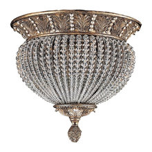 Back hall ceiling light