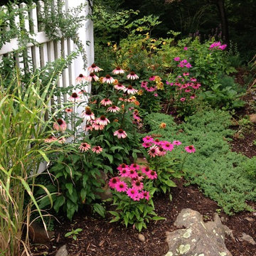 Summer rejuvenation