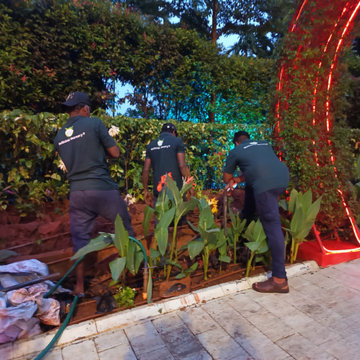 Butterfly Garden Expert in Kerala | Nellickal Nursery® by Anish Nellickal