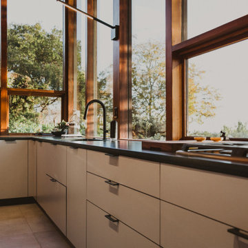 Healdsburg Hills Midcentury Modern