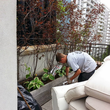 Manhattan Rooftop garden planting