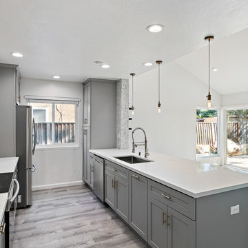 Full House Remodel Fremont JV