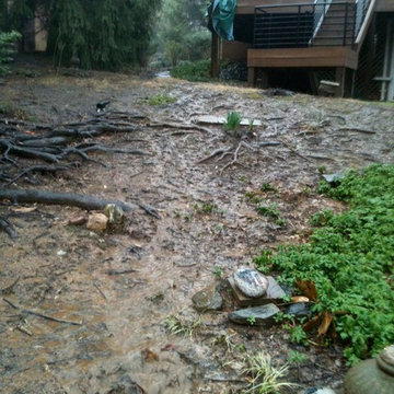 Lisa Wilcox Deyo Landscape Architecture, LLC