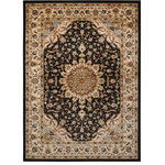 Nourison - Delano Persian Area Rug, Black, 7'10"x10'10" - An exquisite medallion design framed by a richly figured decorative border. In classically opulent ebony, a high fashion area rug that will imbue any room with an aura of unrivaled sophistication. Expertly power-loomed from top quality polypropylene yarns for luxuriously supple texture and years of lasting beauty.