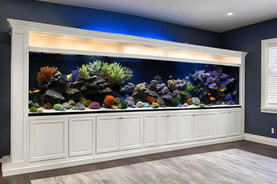 Custom Aquarium Fabrication & Installation