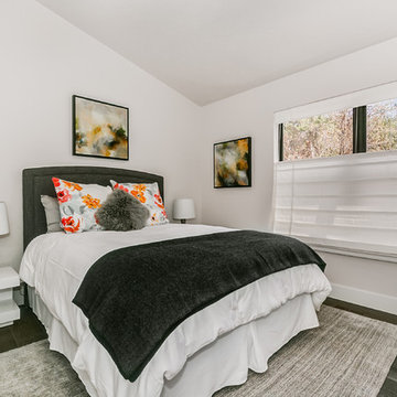 Contemporary Rennovation