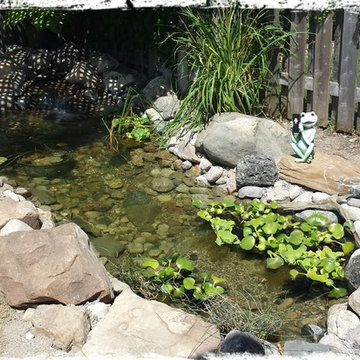 Mott Pond Rebuild