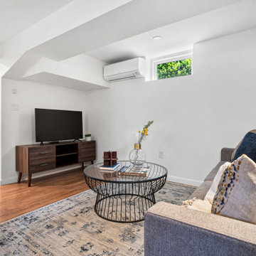Chestnut Hill Basement Apartment Conversion