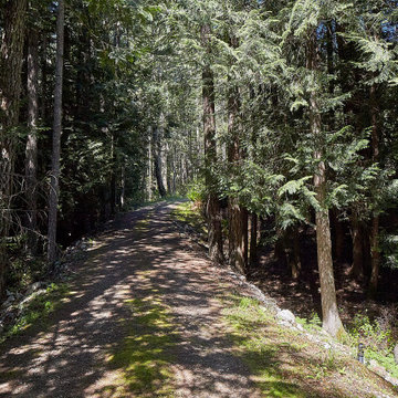 Skog Hytte (Forest Cabin)