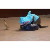 Tom Callis's photo