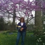 Susan Schultz's photo