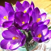 Beth MacCanons foto