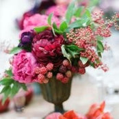 Beverly McIntosh's photo