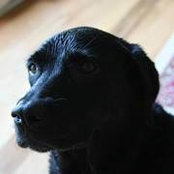 Chuck Hayden's photo
