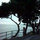 beatrice_fournier
