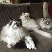 Nancy Phelps Kirchner's photo