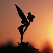Diane Therrien's photo