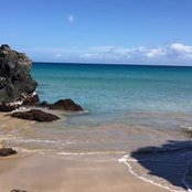 Teri Merkle's photo