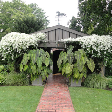 Container Planting Designs