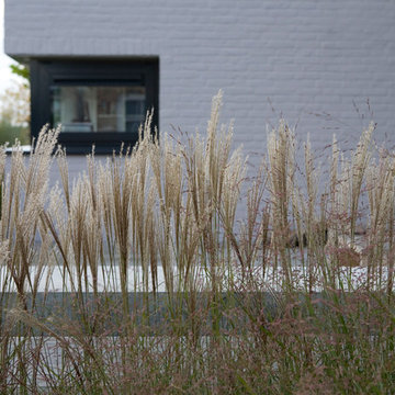 Grasses and a view