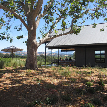 Macrostie Winery