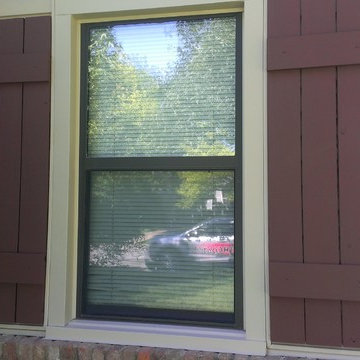 Exterior Staining Doors & Shutters