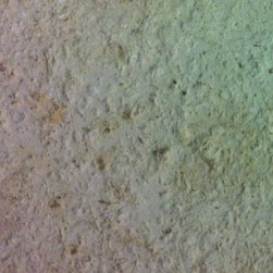 Textured Coral - Products
