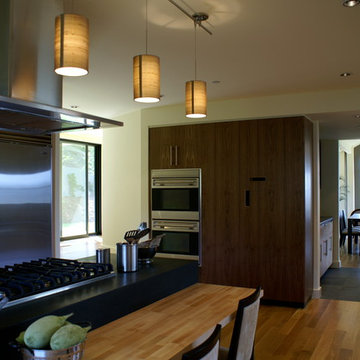 Modern Home in Marin