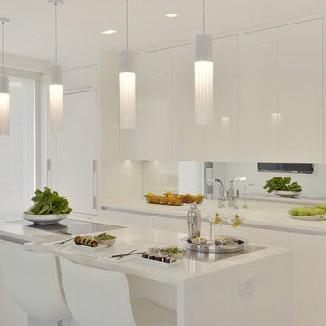 Crisp & Clean White Kitchen in NYC