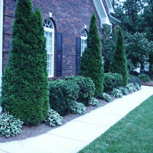 Landscape Ideas
