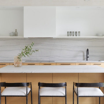 White Oak Modern Kitchen