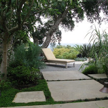 Landscape Ideas