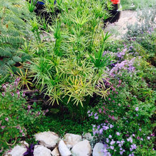 Outdoor ideas