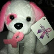 Foto de Susan McDade
