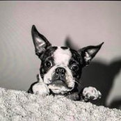 Arpad Kadarkay Jr.'s photo