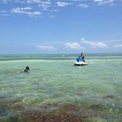 Paula Haber's photo